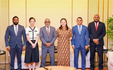 މަޖިލިހުގެ ރައީސް ޗައިނާއަށް