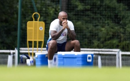 "އަމިއްލަ ސަބަބަކާ ހުރެ" ފްރާންސްގެ 21 އަހަރުން ދަށުގެ ގައުމީ ޓީމުގެ ކޯޗުކަމުން އޮންރީ އިސްތިއުފާދީފި