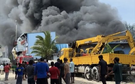 ތިލަފުށި ގުދަނެއްގައި އަލިފާން ރޯވެ އަނދަނީ