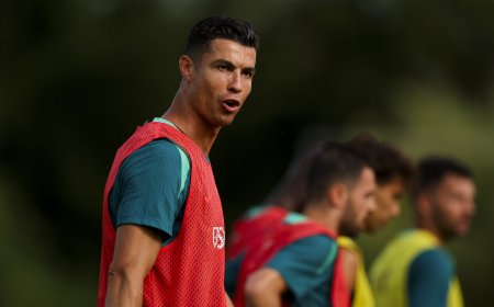 ޔޫޓިއުބް ޗެނަލެއްގައި އެންމެ އަވަހަށް އެއްމިލިއަން ސަބްސްކްރައިބާސް ހަމަކުރުމުގެ ރެކޯޑް ރޮނާލްޑޯ އަށް