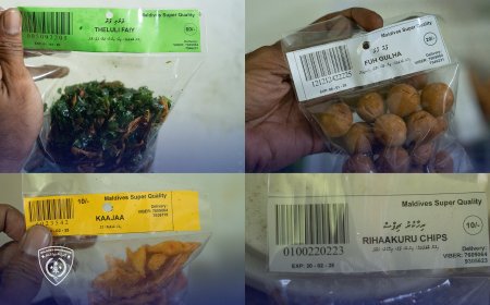 މުޑުދާރުކޮށް ކާއެއްޗިހި ތައްޔާރުކޮށް, ވިޔަފާރި ކުރަމުންދިޔަ ބިދޭސީންތަކެއް އަތުލައިގެންފި