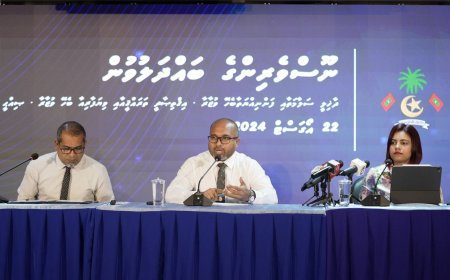 ބިދޭސީންލައްވާ ގަވާއިދާ ޚިލާފަށް މަސައްކަތްކުރުވާ ދިވެހިންނާމެދު މިއަދުން ފެށިގެން ވިޔަވަޅު އަޅާނަން: އިހުސާން