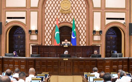 އިސްތިއުފާގެ ސިޓީއެއް ނުލިބޭ, މަޖިލިހުގައި ވޯޓް ނަގާ ޕީޖީގެ މަގާމުން ޝަމީމް ވަކިކޮށްފި