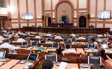 މަޖިލިހުގެ ޖަލްސާ 4 ޖަހާއިރު, އޭގެ ކުރިން މިނިވަން މުއައްސަސާތަކުގެ ކޮމިޓީ ބައްދަލުވުން!