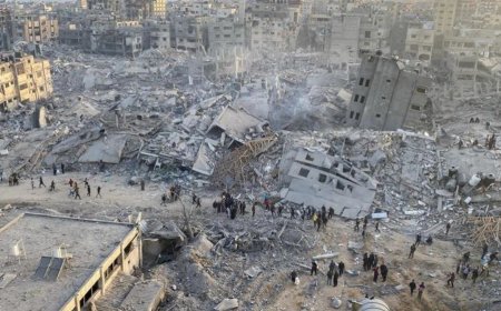 ރައްކާތެރި އެންމެ ވެލިފުކެއްވެސް ނެތް! ނަމަވެސް ސަލާމަތް ހޯދުމަށް ދަތުރުކުރުމުގައި ހަޔާތެއް!