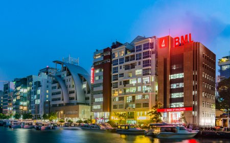 ރުފިޔާ އެކައުންޓުން ޑޮލަރުގެ މުއާމަލާތް ނުކުރެވޭ ގޮތް ހަދައިފި