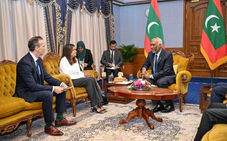 ޑިވެލޮޕްމަންޓް ބޭންކްގެ ސީއީއޯއަކަށް އިނގިރޭސި ރައްޔިތެއް އަދި ޗެއަރޕަސަން އަކަށް ސިންގަޕޫރު ރައްޔިތެއް ހަމަޖައްސައިފި