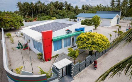 ފެނަކަ އެސްޓީއޯގެ ސަބްސިޑަރީ ކުންފުންޏަކަށް