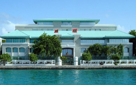 ޔުމްނު ވެއްޓުނު މައްސަލަ ތަހުޤީގު ކުރަން އެކުލަވާލެއްވި ކޮމިޝަންގައި އަންހެން މެމްބަރުން ހިމަނުއްވައިފި