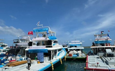 ލޭނު އަޅައިގެން މަސްވެރިކަން ކުރުމުގެ ފުރުޞަތު ނުދޭން ރައީސުލްޖުމްހޫރިއްޔާ ނިންމަވައިފި