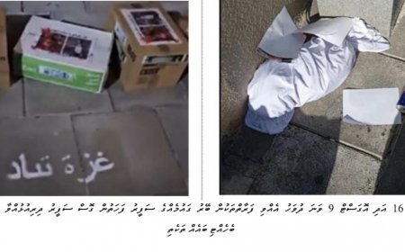 އިޒްރޭލާ ދެކޮޅަށް އަޑުއުފުލި ދެ އަންހެނުން ހައްޔަރުކުރީ ވަކި ސަފީރަކަށް އުނދަގޫ ކުރާތީ – ފުލުހުން