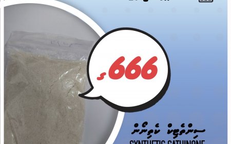 ޕޯސްޓް މެދުވެރިކޮށް އެތެރެކުރަން އުޅުނު ބައިކިލޯއަށްވުރެ ގިނަ މަސްތުވާ ތަކެތި އަތުލައިގެންފި