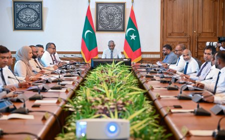 ދުންފަތުގެ ބާވަތްތައް ވިއްކެނީ ޤާނޫނު ހުއްދަ ކުރާ ފަރާތަކަށްކަން ކަށަވަރުކުރުމަކީ ވިއްކާ ފަރާތުގެ ޒިންމާއެއް!