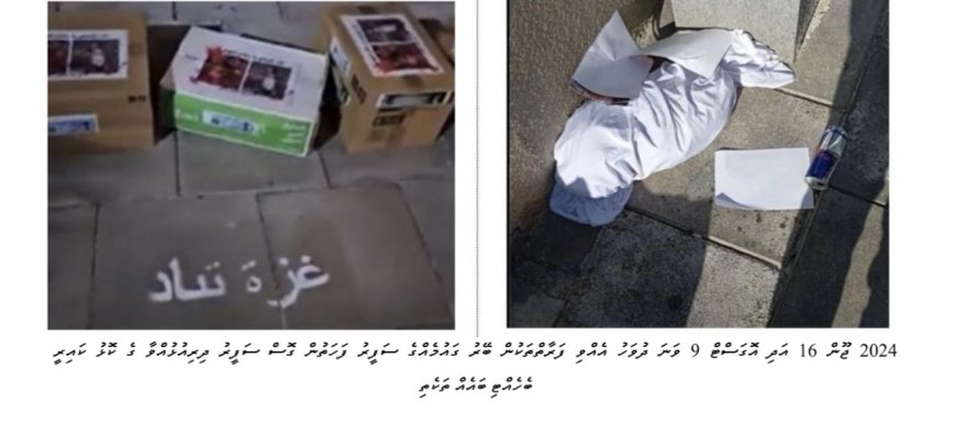 އިޒްރޭލާ ދެކޮޅަށް އަޑުއުފުލި ދެ އަންހެނުން ހައްޔަރުކުރީ ވަކި ސަފީރަކަށް އުނދަގޫ ކުރާތީ – ފުލުހުން