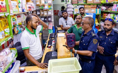 ބިދޭސީންނާ ގުޅޭ ފީ ތަކާއި ޖޫރިމަނާ ދެއްކުމަށް މުހުލަތެއް