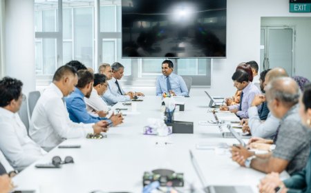 ފޮރިންގ އިންވެސްޓްމަންޓްގެ ޤާނޫނު ވުޖޫދުކޮށްފި