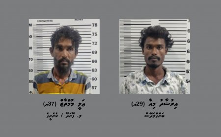 ގއ. ވިލިނގިއްޔަށް މަސްތުވާތަކެތި އެތެރެކުރަން އުޅުނު ދިވެއްސަކާއި ބަންގަލަދޭޝް މީހަކު ހައްޔަރުކޮށްފި
