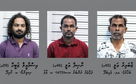 ބަރަހަނާ ފޮޓޯއާއި ވީޑިއޯއިން ވިޔަފާރި ކުރަމުންދިޔަ ބަޔަކު ހައްޔަރުކޮށްފި