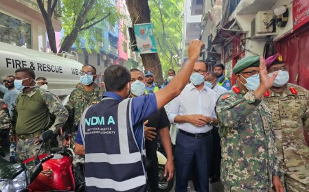 އަލިފާން ރޯވި ކެފޭ ހުރީ ބިދޭސީންގެ އެކޮމަޑޭޝަނާއެކު