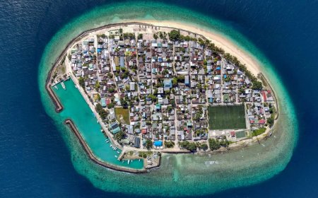 ނ.ހޮޅުދޫގައި ޒަޚަމްތަކަކާއެކު މަރުވެފައި އޮތް އަންހެނަކު ފެނިއްޖެ