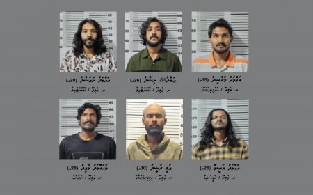 މަސްތުވާތަކެތީގެ މައްސަލައެއްގައި ވެލިދޫން 7 މީހުން ހައްޔަރުކޮށްފި