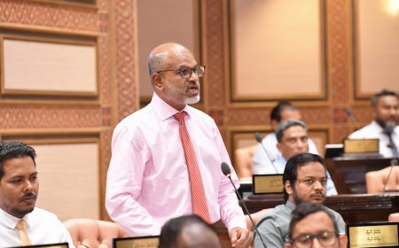 ދިވެހިންގެ ބޭންކުން ބޮޑު ނިންމުން ނިންމިއިރު އެންމެ ޒިންމާދާރު މަގާމް ތަކުގައި ތިއްބެވި ތިން ބޭފުޅަކު ރާއްޖޭގައި ނެތް!