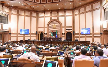 ދައުރުން ބޭރުން ނިންމަން ތާވަލް ކުރި ކަންކަން ނިންމައިފި, އާ ދައުރު ފަށާނީ އަންނަ މަހު 7 ގައި