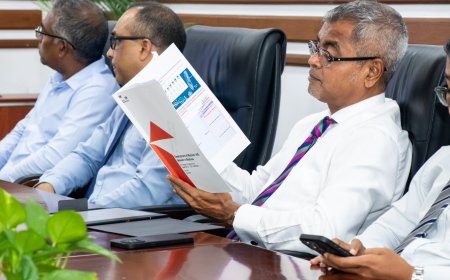 ހަކަތައިގެ މަޝްރޫއެއް ކުރިއަށް ގެންދަން ސިންގަޕޫރު ކުންފުންޏެއްގެ ޕްރޮޕޯސަލްއެއް!