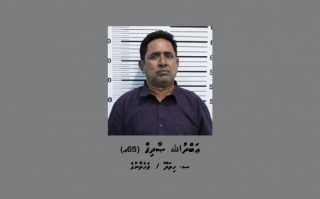 މަސްތުވާތަކެތި އެތެރެކުރަން އުޅުނު 65 އަހަރުގެ މީހަކު ހައްޔަރުކޮށްފި