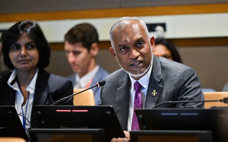 ކްލައިމެޓް ފައިނޭންސާއި ދަރަނިން ލިބޭ ގެއްލުން ލުއިކޮށްދިނުމާ ދެމެދު އޮންނަގުޅުން ހަރުދަނާކުރުމަށް ރައީސުލްޖުމްހޫރިއްޔާ ގޮވާލައްވައިފި