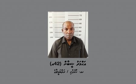 މަސްތުވާތަކެތީގެ ވިޔަފާރިކުރަމުން ދިޔަ  މީހަކު ހޯރަފުށިން ހައްޔަރުކޮށްފި