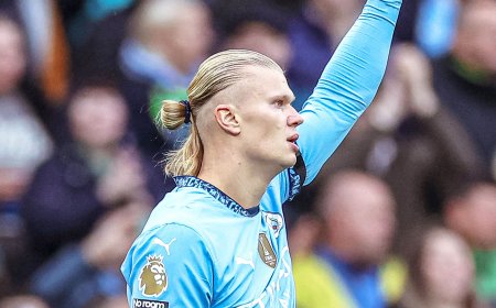 ސިޓީ ސަލާމަތްކޮށްދިނީ ޖޯން ސްޓޯންސް, ހާލަންޑްގެ 100 ވަނަ ގޯލް