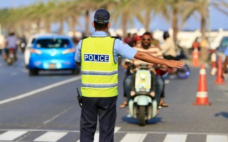 ނުރައްކާތެރިކޮށް ދުއްވައިގެން ހިފަހައްޓާ އުޅަނދެއް ހަވާލުކުރާނީ 30 ދުވަސް ފަހުން