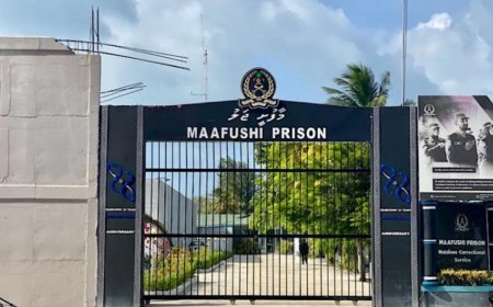 މާފުށި ޖަލުގައި ބަންދުގައި ހުރި މީހަކު ދަންޖެހިގެން މަރުވެއްޖެ