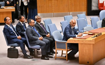 ދާއިމީ މެންބަރުންނަށް އޮންނަ ވީޓޯ ކުރުމުގެ ބާރު އުވާލުމަށް ރައީސުލްޖުމްހޫރިއްޔާ ވަނީ ގޮވާލައްވައިފި