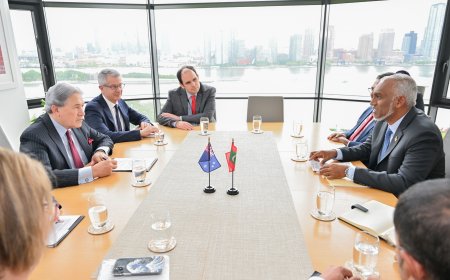 ރައީސުލްޖުމްހޫރިއްޔާ ނިއުޒިލޭންޑްގެ ބޮޑުވަޒީރުގެ ނައިބާ ބައްދަލުކުރައްވައިފި