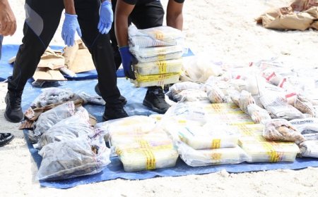 މިއަހަރުގެ ފުރަތަމަ 8 މަސް ދުވަހު އަތުލައިގަތް މަސްތުވާތަކެތީގެ އަގު 282 މިލިއަން ރުފިޔާއަށްވުރެ މަތި- ފުލުހުން