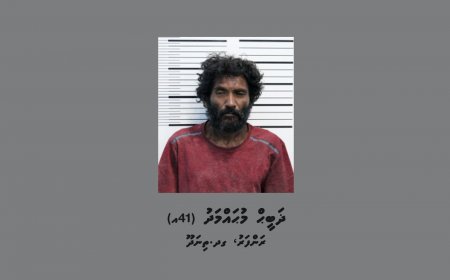 ޗައިނާ ދެ ފަތުރުވެރިއެއްގެ ދަބަސް ވަގަށް ނެގި މީހަކު ހައްޔަރުކޮށްފި