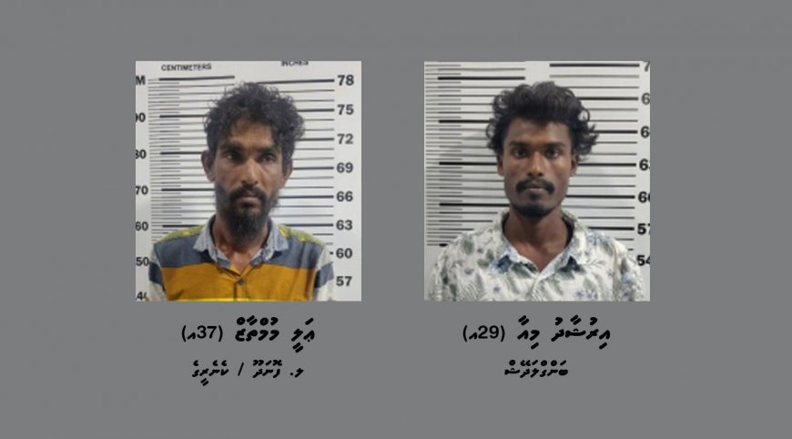 ގއ. ވިލިނގިއްޔަށް މަސްތުވާތަކެތި އެތެރެކުރަން އުޅުނު ދިވެއްސަކާއި ބަންގަލަދޭޝް މީހަކު ހައްޔަރުކޮށްފި