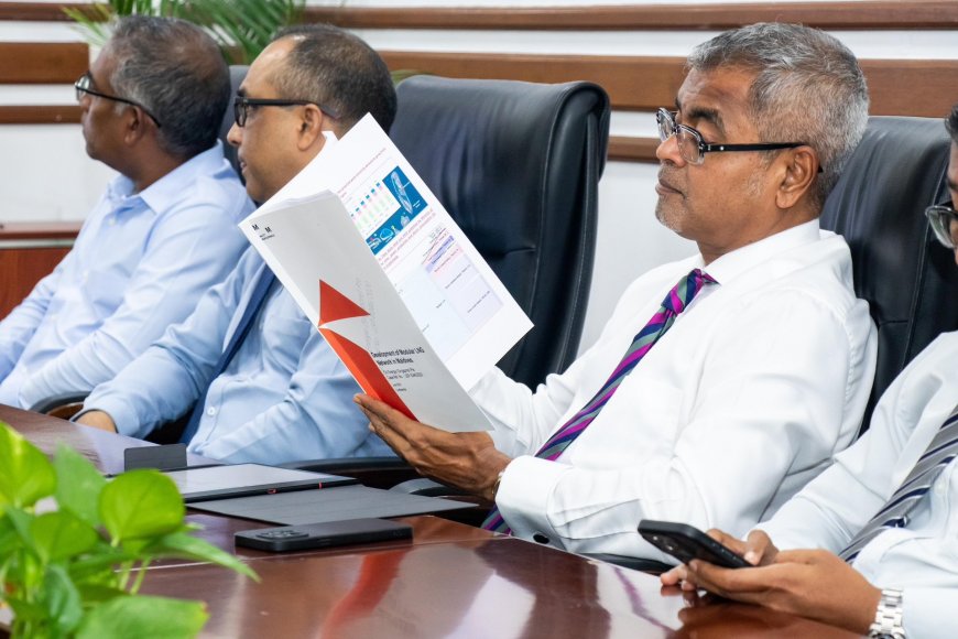 ހަކަތައިގެ މަޝްރޫއެއް ކުރިއަށް ގެންދަން ސިންގަޕޫރު ކުންފުންޏެއްގެ ޕްރޮޕޯސަލްއެއް!