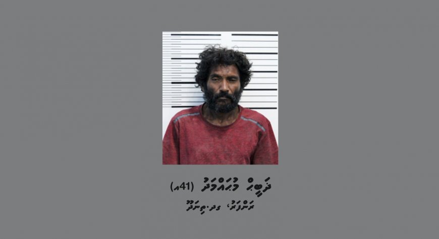 ޗައިނާ ދެ ފަތުރުވެރިއެއްގެ ދަބަސް ވަގަށް ނެގި މީހަކު ހައްޔަރުކޮށްފި