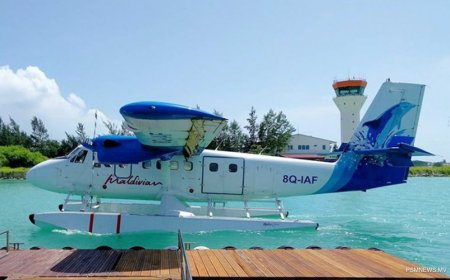 ސީޕްލޭންގެ ވިޔަފާރި ފުޅާކޮށް, ދެމެހެއްޓެނިވި ގޮތެއްގައި ކުރިއަށް ގެންދަން ޖޮއިންޓް ވެންޗަރ ކުންފުންޏެއް އުފައްދަން ނިންމައިފި