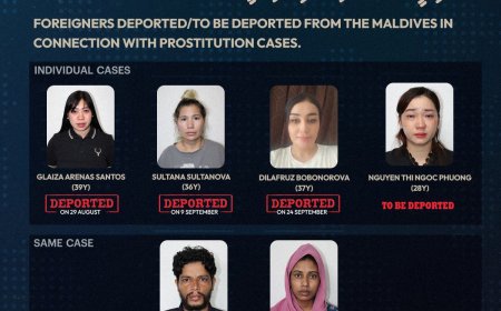 ހަށި ވިއްކަމުން ދިޔަ ނެޓްވޯކެއް ހައްޔަރުކޮށް ތިން މީހުން ޑީޕޯޓް ކޮށްފި