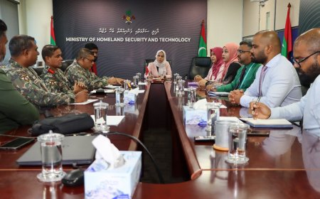 ކުއްލި ހާލަތްތަކުގައި 911 ބޭނުން ކުރުމުގެ މަޝްވަރާތައް ކުރަނީ