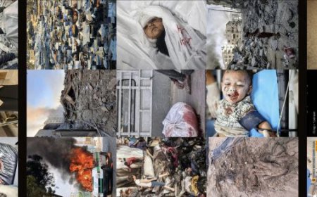 އަހަރެން ހަނދާނެއް ނުނެތޭނެއެވެ.......!!!