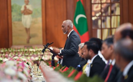 އިންޑިޔާ ގުޅުން ބިނާވެފައިވަނީ ތާރީޚާއި ގަބޫލުކުރާ ހަމަތަކާއި ހިއްސާކުރާ އާދަކާދަތަކުގެ މައްޗަށް- ރައީސް މުއިއްޒު
