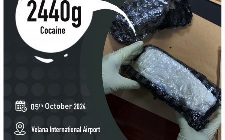 ރާއްޖެއަށް އެތެރެކުރަން އުޅުނު ތިން ކިލޯއަށްވުރެ ގިނަ މަސްތުވާތަކެތި އަތުލައިގެންފި