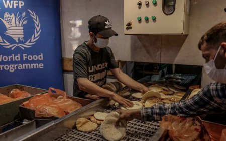 ސަޕްލައި ނުލިބި އދގެ ކާބޯތަކެތީގެ ޕްރޮގްރާމް ހުއްޓި ޣައްޒާ ބަނޑަށްޖެހިދާނެ ކަމުގެ ބިރު