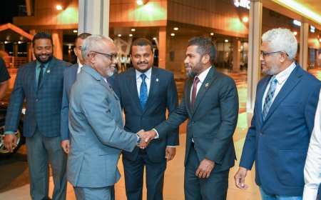 އައިޕީޔޫ އެސެމްބްލީގައި ބައިވެރިވެވަޑައިގަތުމަށް މަޖިލިހުގެ ރައީސް ޖެނީވާއަށް ވަޑައިގެންފި