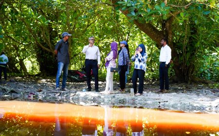 ޕަރީފެންގަނޑުގައި ވިއުއިން ޕްލެޓްފޯމެއް ހަދަން ގަމުގެ ޖަމްއިއްޔާއަކަށް އެހީދީފި